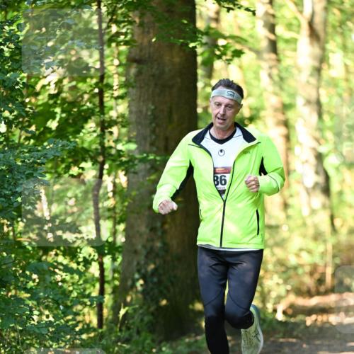 06.10.2024 - Bramfelder Halbmarathon 2024 Dr. Thomas Lammeyer http://msf.ph/oto/7336852 06.10.2024 10:17:23 Laufen 86 meine-sportfotos.de