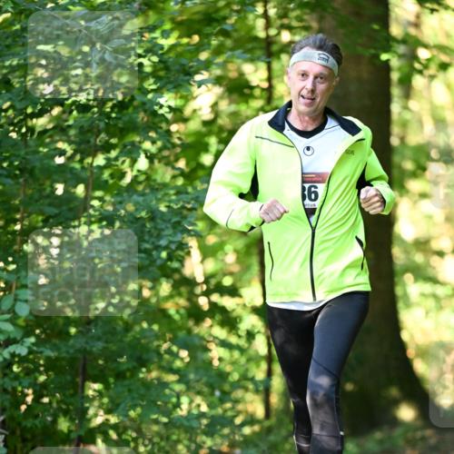 06.10.2024 - Bramfelder Halbmarathon 2024 Dr. Thomas Lammeyer http://msf.ph/oto/7336859 06.10.2024 10:17:24 Laufen 6 meine-sportfotos.de