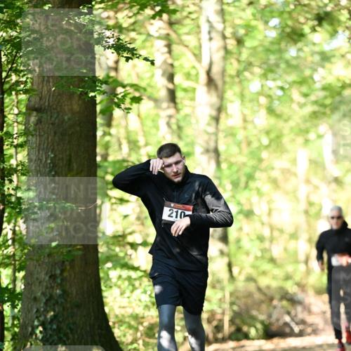 06.10.2024 - Bramfelder Halbmarathon 2024 Dr. Thomas Lammeyer http://msf.ph/oto/7336866 06.10.2024 10:17:33 Laufen 210 meine-sportfotos.de