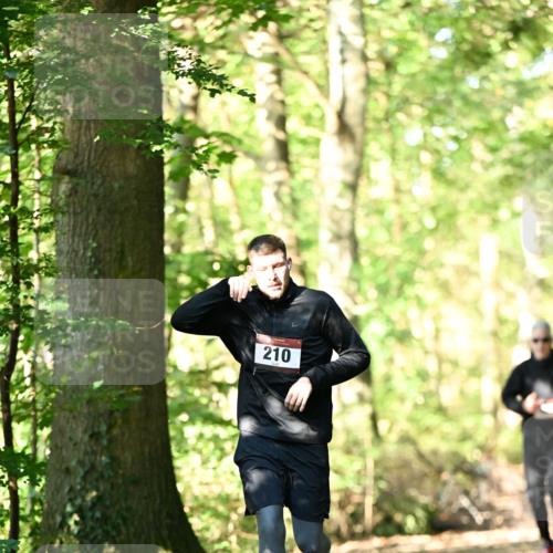 06.10.2024 - Bramfelder Halbmarathon 2024 Dr. Thomas Lammeyer http://msf.ph/oto/7336867 06.10.2024 10:17:34 Laufen 210 meine-sportfotos.de