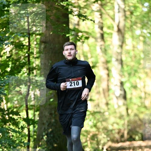 06.10.2024 - Bramfelder Halbmarathon 2024 Dr. Thomas Lammeyer http://msf.ph/oto/7336874 06.10.2024 10:17:35 Laufen 210 meine-sportfotos.de
