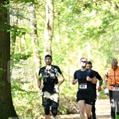 06.10.2024 - Bramfelder Halbmarathon 2024 Dr. Thomas Lammeyer http://msf.ph/oto/7336895 06.10.2024 10:17:45 Laufen 481, 377 meine-sportfotos.de