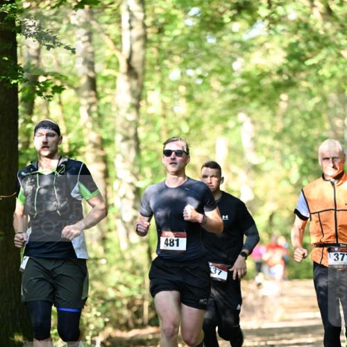 06.10.2024 - Bramfelder Halbmarathon 2024 Dr. Thomas Lammeyer http://msf.ph/oto/7336902 06.10.2024 10:17:46 Laufen 1, 481, 37, 377 meine-sportfotos.de