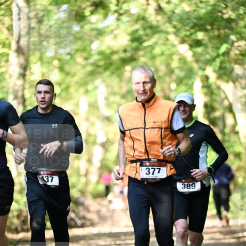 06.10.2024 - Bramfelder Halbmarathon 2024 Dr. Thomas Lammeyer http://msf.ph/oto/7336907 06.10.2024 10:17:48 Laufen 37, 377, 113, 389 meine-sportfotos.de