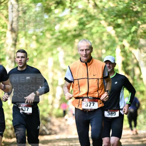 06.10.2024 - Bramfelder Halbmarathon 2024 Dr. Thomas Lammeyer http://msf.ph/oto/7336908 06.10.2024 10:17:48 Laufen 1, 437, 377, 00, 389 meine-sportfotos.de