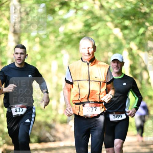 06.10.2024 - Bramfelder Halbmarathon 2024 Dr. Thomas Lammeyer http://msf.ph/oto/7336910 06.10.2024 10:17:48 Laufen 437, 377, 389 meine-sportfotos.de