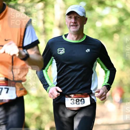 06.10.2024 - Bramfelder Halbmarathon 2024 Dr. Thomas Lammeyer http://msf.ph/oto/7336920 06.10.2024 10:17:50 Laufen 77, 389 meine-sportfotos.de