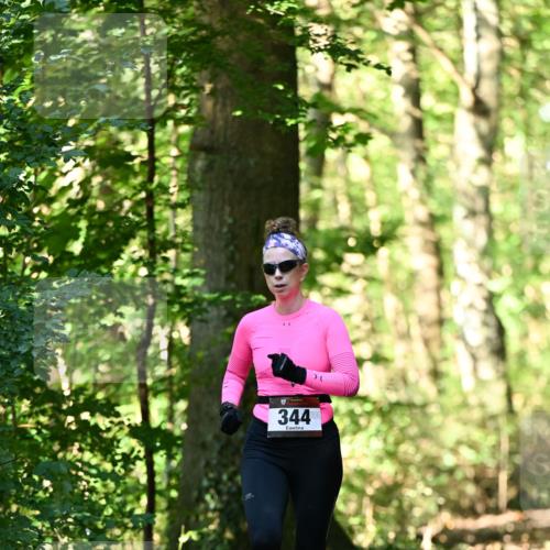 06.10.2024 - Bramfelder Halbmarathon 2024 Dr. Thomas Lammeyer http://msf.ph/oto/7336975 06.10.2024 10:18:28 Laufen 344 meine-sportfotos.de
