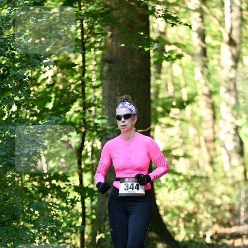 06.10.2024 - Bramfelder Halbmarathon 2024 Dr. Thomas Lammeyer http://msf.ph/oto/7336977 06.10.2024 10:18:28 Laufen 344 meine-sportfotos.de