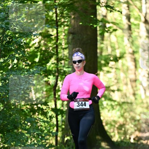 06.10.2024 - Bramfelder Halbmarathon 2024 Dr. Thomas Lammeyer http://msf.ph/oto/7336978 06.10.2024 10:18:28 Laufen 344 meine-sportfotos.de