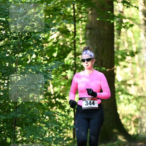06.10.2024 - Bramfelder Halbmarathon 2024 Dr. Thomas Lammeyer http://msf.ph/oto/7336980 06.10.2024 10:18:29 Laufen 344 meine-sportfotos.de