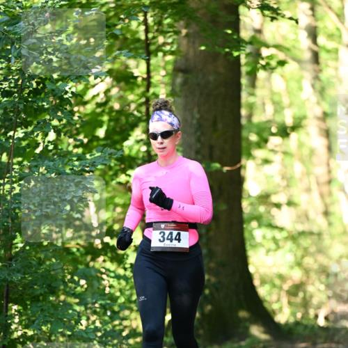 06.10.2024 - Bramfelder Halbmarathon 2024 Dr. Thomas Lammeyer http://msf.ph/oto/7336981 06.10.2024 10:18:29 Laufen 344 meine-sportfotos.de