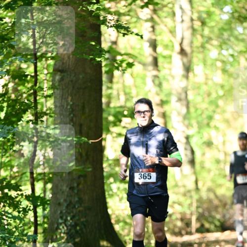 06.10.2024 - Bramfelder Halbmarathon 2024 Dr. Thomas Lammeyer http://msf.ph/oto/7337004 06.10.2024 10:18:36 Laufen 365 meine-sportfotos.de