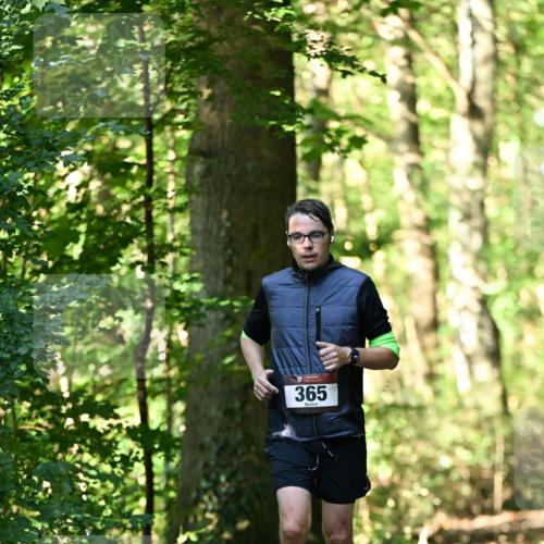 06.10.2024 - Bramfelder Halbmarathon 2024 Dr. Thomas Lammeyer http://msf.ph/oto/7337007 06.10.2024 10:18:37 Laufen 365 meine-sportfotos.de