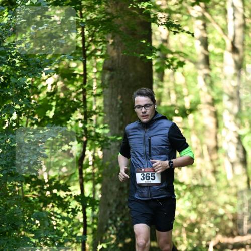 06.10.2024 - Bramfelder Halbmarathon 2024 Dr. Thomas Lammeyer http://msf.ph/oto/7337008 06.10.2024 10:18:37 Laufen 365 meine-sportfotos.de