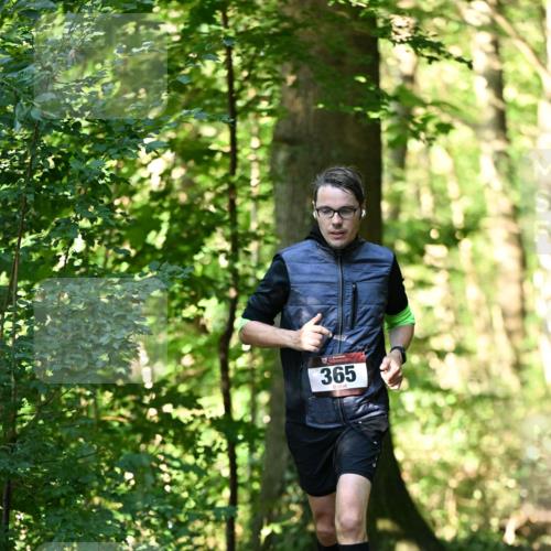06.10.2024 - Bramfelder Halbmarathon 2024 Dr. Thomas Lammeyer http://msf.ph/oto/7337010 06.10.2024 10:18:37 Laufen 365 meine-sportfotos.de