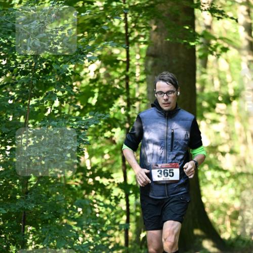 06.10.2024 - Bramfelder Halbmarathon 2024 Dr. Thomas Lammeyer http://msf.ph/oto/7337011 06.10.2024 10:18:37 Laufen 365 meine-sportfotos.de