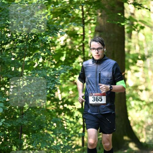 06.10.2024 - Bramfelder Halbmarathon 2024 Dr. Thomas Lammeyer http://msf.ph/oto/7337012 06.10.2024 10:18:37 Laufen 365 meine-sportfotos.de