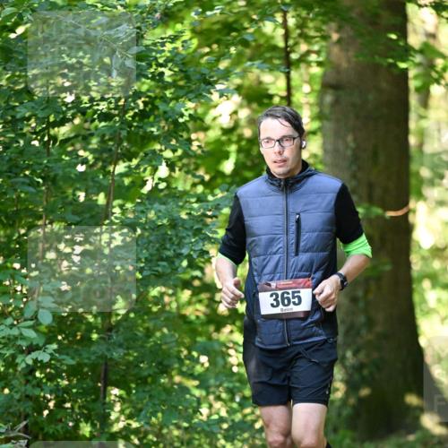 06.10.2024 - Bramfelder Halbmarathon 2024 Dr. Thomas Lammeyer http://msf.ph/oto/7337014 06.10.2024 10:18:38 Laufen 365 meine-sportfotos.de
