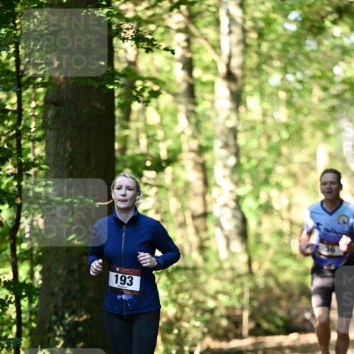 06.10.2024 - Bramfelder Halbmarathon 2024 Dr. Thomas Lammeyer http://msf.ph/oto/7337042 06.10.2024 10:18:55 Laufen 193, 36 meine-sportfotos.de