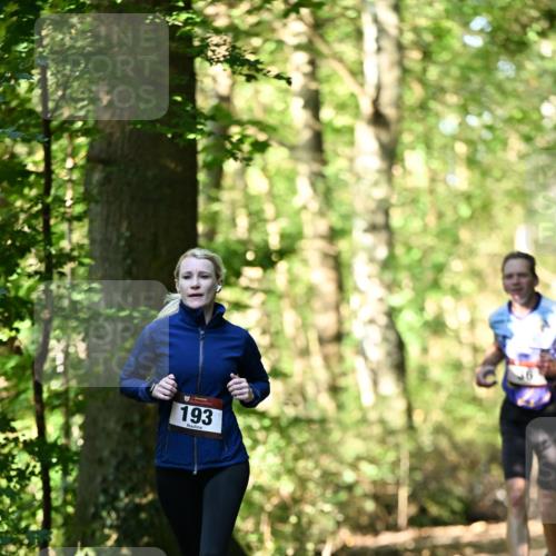 06.10.2024 - Bramfelder Halbmarathon 2024 Dr. Thomas Lammeyer http://msf.ph/oto/7337043 06.10.2024 10:18:55 Laufen 193 meine-sportfotos.de