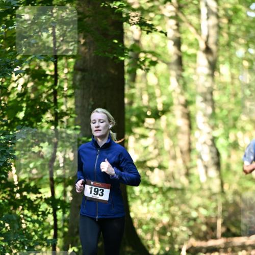 06.10.2024 - Bramfelder Halbmarathon 2024 Dr. Thomas Lammeyer http://msf.ph/oto/7337045 06.10.2024 10:18:55 Laufen 193 meine-sportfotos.de