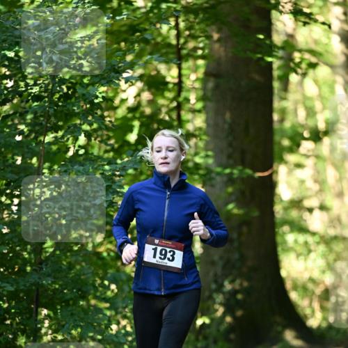 06.10.2024 - Bramfelder Halbmarathon 2024 Dr. Thomas Lammeyer http://msf.ph/oto/7337049 06.10.2024 10:18:55 Laufen 193 meine-sportfotos.de