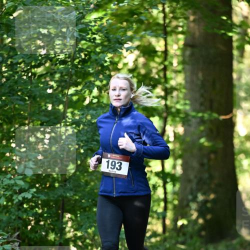 06.10.2024 - Bramfelder Halbmarathon 2024 Dr. Thomas Lammeyer http://msf.ph/oto/7337051 06.10.2024 10:18:56 Laufen 193 meine-sportfotos.de