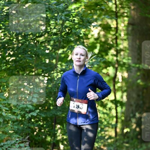 06.10.2024 - Bramfelder Halbmarathon 2024 Dr. Thomas Lammeyer http://msf.ph/oto/7337052 06.10.2024 10:18:56 Laufen 193 meine-sportfotos.de