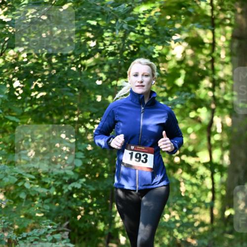 06.10.2024 - Bramfelder Halbmarathon 2024 Dr. Thomas Lammeyer http://msf.ph/oto/7337053 06.10.2024 10:18:56 Laufen 193 meine-sportfotos.de