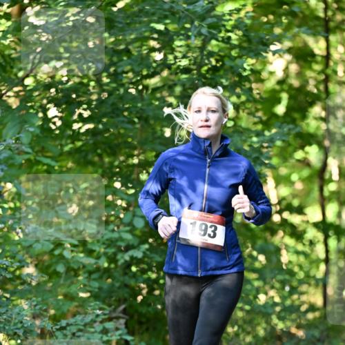 06.10.2024 - Bramfelder Halbmarathon 2024 Dr. Thomas Lammeyer http://msf.ph/oto/7337054 06.10.2024 10:18:56 Laufen 193 meine-sportfotos.de