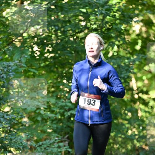 06.10.2024 - Bramfelder Halbmarathon 2024 Dr. Thomas Lammeyer http://msf.ph/oto/7337055 06.10.2024 10:18:56 Laufen 33, 193 meine-sportfotos.de