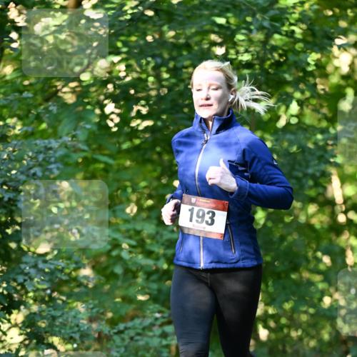 06.10.2024 - Bramfelder Halbmarathon 2024 Dr. Thomas Lammeyer http://msf.ph/oto/7337056 06.10.2024 10:18:56 Laufen 193 meine-sportfotos.de