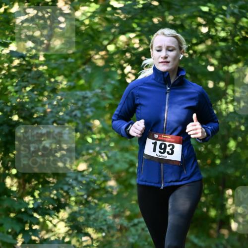 06.10.2024 - Bramfelder Halbmarathon 2024 Dr. Thomas Lammeyer http://msf.ph/oto/7337058 06.10.2024 10:18:57 Laufen 33, 193 meine-sportfotos.de