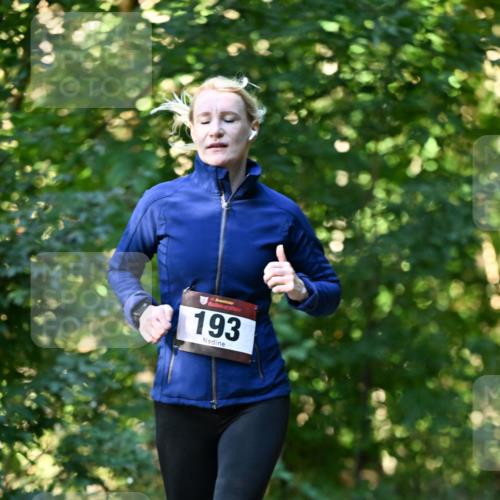 06.10.2024 - Bramfelder Halbmarathon 2024 Dr. Thomas Lammeyer http://msf.ph/oto/7337059 06.10.2024 10:18:57 Laufen 193 meine-sportfotos.de