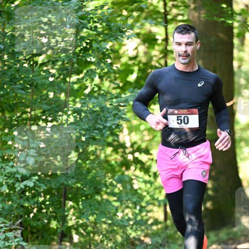06.10.2024 - Bramfelder Halbmarathon 2024 Dr. Thomas Lammeyer http://msf.ph/oto/7337084 06.10.2024 10:19:25 Laufen 33, 50, 3 meine-sportfotos.de