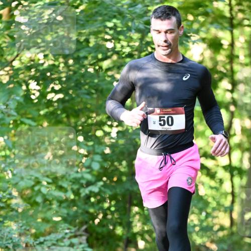 06.10.2024 - Bramfelder Halbmarathon 2024 Dr. Thomas Lammeyer http://msf.ph/oto/7337089 06.10.2024 10:19:26 Laufen 33, 50, 30, 39 meine-sportfotos.de