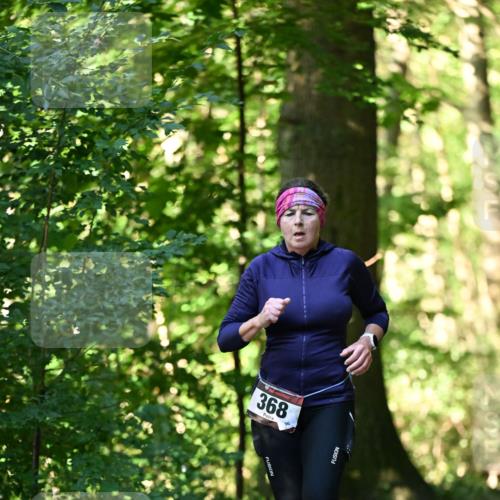 06.10.2024 - Bramfelder Halbmarathon 2024 Dr. Thomas Lammeyer http://msf.ph/oto/7337121 06.10.2024 10:19:41 Laufen 368, 96 meine-sportfotos.de