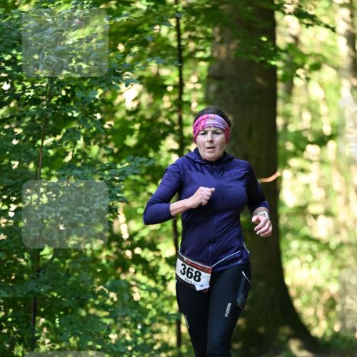 06.10.2024 - Bramfelder Halbmarathon 2024 Dr. Thomas Lammeyer http://msf.ph/oto/7337122 06.10.2024 10:19:41 Laufen 368 meine-sportfotos.de