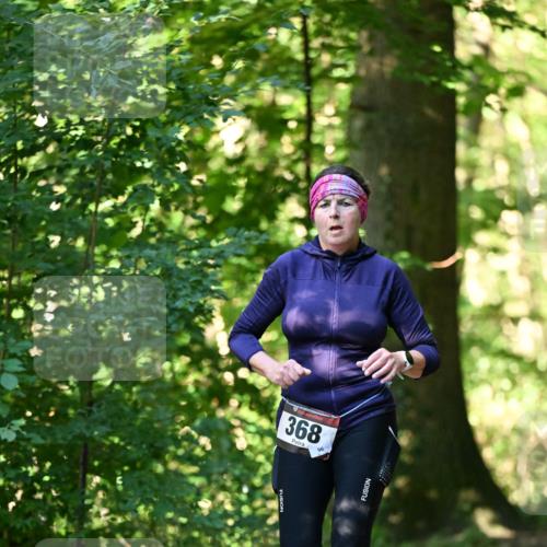 06.10.2024 - Bramfelder Halbmarathon 2024 Dr. Thomas Lammeyer http://msf.ph/oto/7337123 06.10.2024 10:19:41 Laufen 368, 96 meine-sportfotos.de