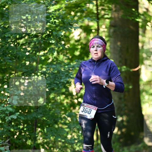 06.10.2024 - Bramfelder Halbmarathon 2024 Dr. Thomas Lammeyer http://msf.ph/oto/7337124 06.10.2024 10:19:41 Laufen 368 meine-sportfotos.de