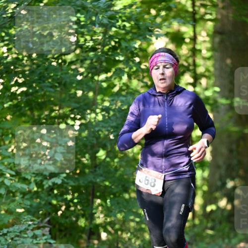06.10.2024 - Bramfelder Halbmarathon 2024 Dr. Thomas Lammeyer http://msf.ph/oto/7337126 06.10.2024 10:19:42 Laufen 368 meine-sportfotos.de