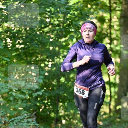06.10.2024 - Bramfelder Halbmarathon 2024 Dr. Thomas Lammeyer http://msf.ph/oto/7337127 06.10.2024 10:19:42 Laufen 368, 96 meine-sportfotos.de