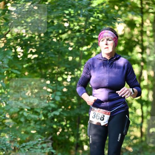 06.10.2024 - Bramfelder Halbmarathon 2024 Dr. Thomas Lammeyer http://msf.ph/oto/7337128 06.10.2024 10:19:42 Laufen 368 meine-sportfotos.de