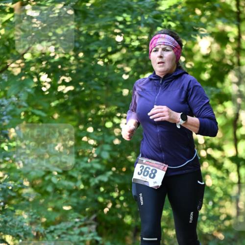 06.10.2024 - Bramfelder Halbmarathon 2024 Dr. Thomas Lammeyer http://msf.ph/oto/7337129 06.10.2024 10:19:42 Laufen 368 meine-sportfotos.de