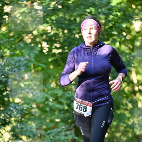 06.10.2024 - Bramfelder Halbmarathon 2024 Dr. Thomas Lammeyer http://msf.ph/oto/7337131 06.10.2024 10:19:42 Laufen 368, 96 meine-sportfotos.de