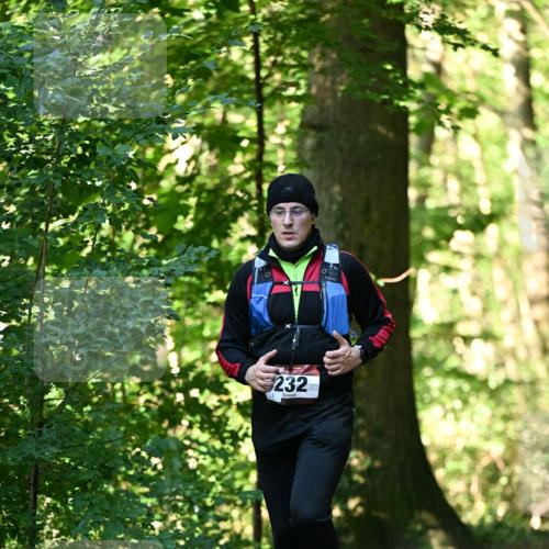 06.10.2024 - Bramfelder Halbmarathon 2024 Dr. Thomas Lammeyer http://msf.ph/oto/7337142 06.10.2024 10:19:49 Laufen 232 meine-sportfotos.de