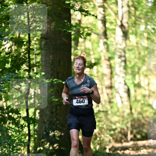 06.10.2024 - Bramfelder Halbmarathon 2024 Dr. Thomas Lammeyer http://msf.ph/oto/7337157 06.10.2024 10:20:02 Laufen 460 meine-sportfotos.de