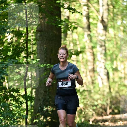 06.10.2024 - Bramfelder Halbmarathon 2024 Dr. Thomas Lammeyer http://msf.ph/oto/7337158 06.10.2024 10:20:03 Laufen 460 meine-sportfotos.de
