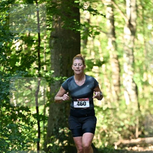 06.10.2024 - Bramfelder Halbmarathon 2024 Dr. Thomas Lammeyer http://msf.ph/oto/7337159 06.10.2024 10:20:03 Laufen 460 meine-sportfotos.de